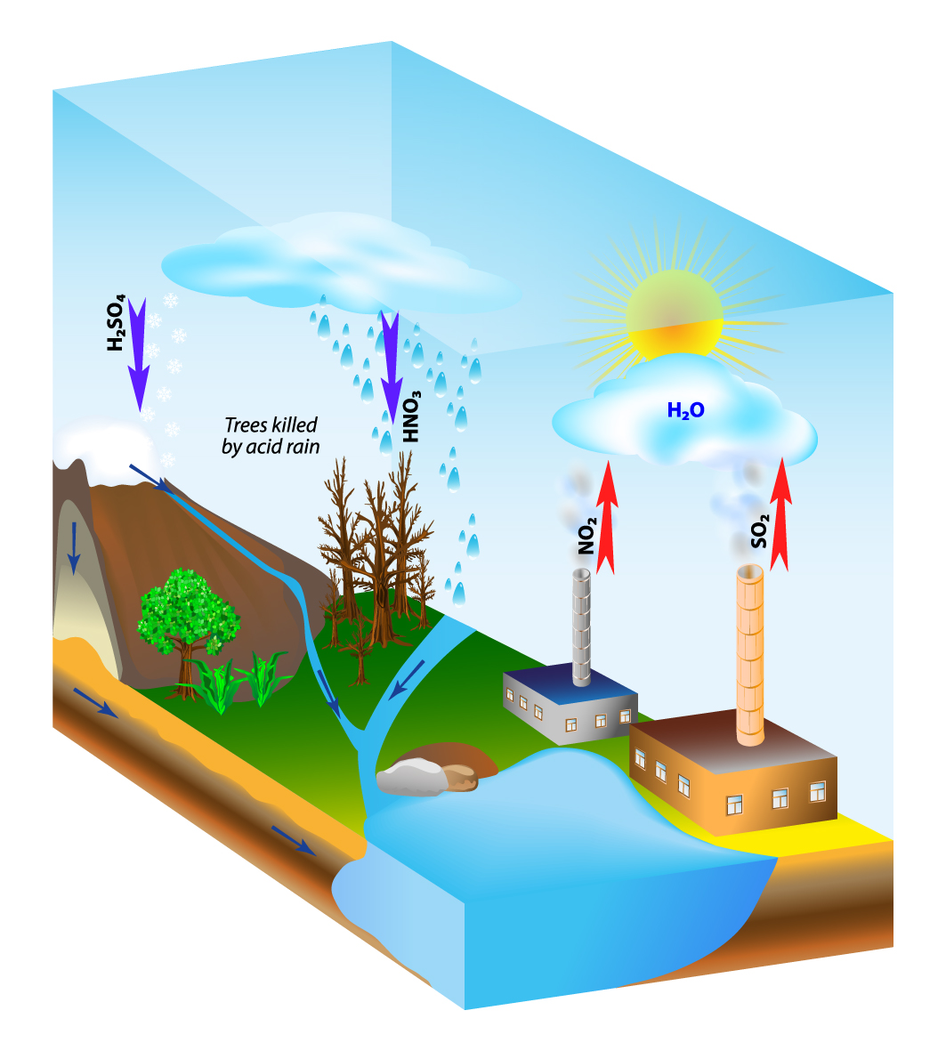 harmful effects of air pollution